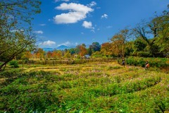 黄山塔川风景 2