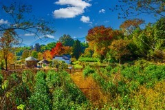 黄山塔川风景 2
