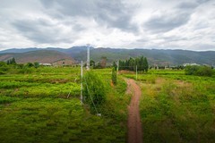 香格里拉到西双版纳沿途风景33