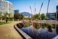 深圳盐田中央公园 掠影