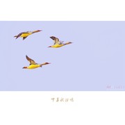 中华秋沙鸭（2021年）