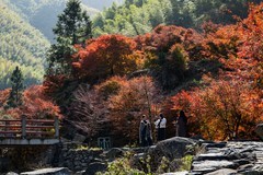 湖南南山县枫叶谷（三）