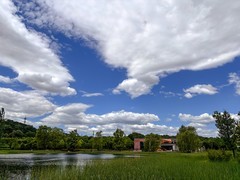 2026年- 白河城市森林公园纪实-0388
