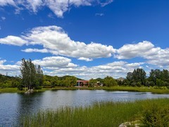 2026年- 白河城市森林公园纪实-0389