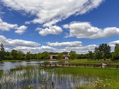 2026年- 白河城市森林公园纪实-0389