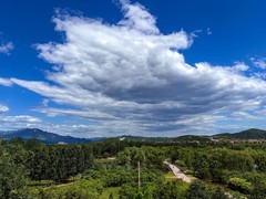 2026年- 白河城市森林公园纪实-0389