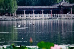 秋日——明湖杂拍
