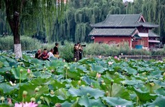 秋日——明湖杂拍