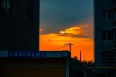 偶遇朝阳