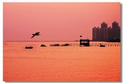 在海边（十三）