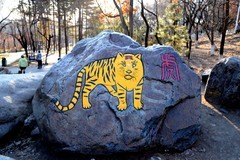 冬日北山公园（完）