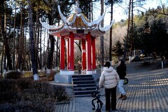 冬日北山公园（完）