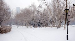 正月十五雪打灯（2026.3.3沈阳今日暴雪，月全食）