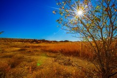 外出旅行游拍 2