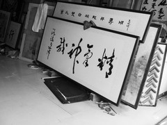 杂拍