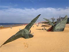 2026年- 烟台金沙滩纪实旅拍-0587