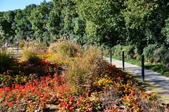 冬日暖阳里的休闲遛弯