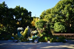 冬日暖阳里的休闲遛弯