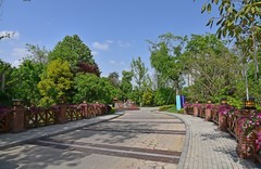 小区环境 1-1