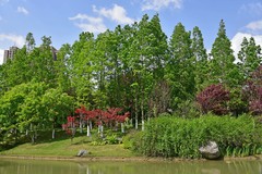 小区环境 1-1