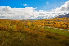 北疆禾木村风景28