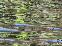 天鹅荡漾的湖面 2-1