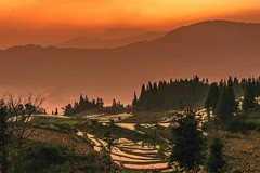 红河宝华 · 撒玛坝梯田