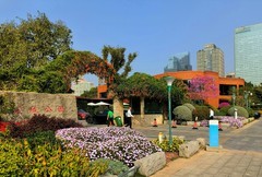 天河区宏城公园。