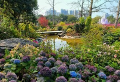 天河区宏城公园。