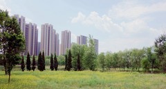 夏天郊外随拍