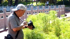 公园遛弯儿，随见随拍