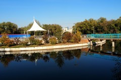 人民公园随拍（6）