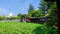 柳春园
