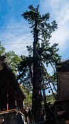 【镜头里】第1739号：北京潭拓寺（七）