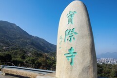实际寺银杏