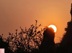 2025.3.19桂林杨朔（11）