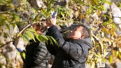 裕西公园拍腊梅