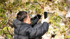 裕西公园拍腊梅