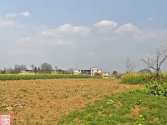 2025.3.23安顺万亩樱花拍（14）