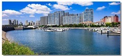 海港（十一）