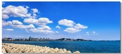 海港（十一）