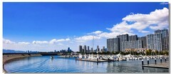 海港（十一）