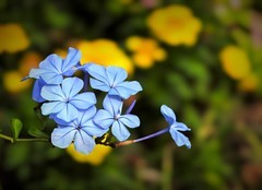 周边摄影拾零（九）