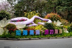 春——海珠湖-3