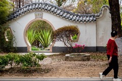 春——海珠湖-3