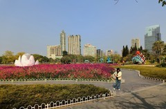 二沙岛的蝶醉花海。