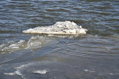 春寒料峭大辽河