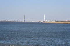 春寒料峭大辽河