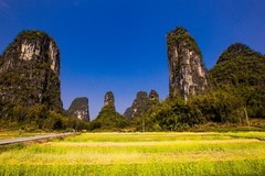外出随拍（873）.
