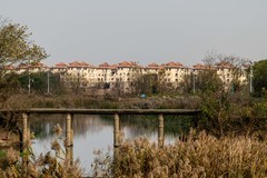 庐州印象（536）关镇河